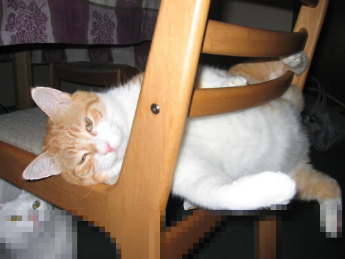 爱游戏网页版-“海岸线飚风：沿海赛段的精彩回放”，海岸线前进是往哪里