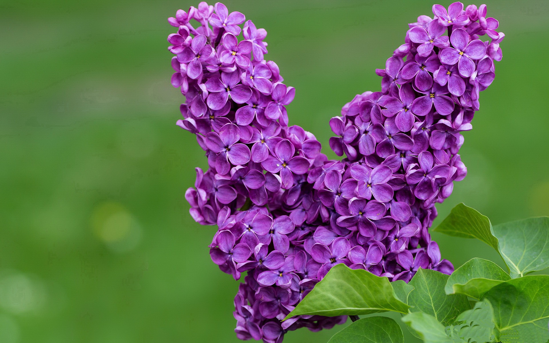 爱游戏官方主页-【运动员健康管理】全天候身体监控，延长运动寿命新时代，运动员的身体健康