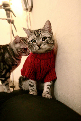 爱游戏体育在线app-意甲激烈竞争，比分2-2，比赛亮点：多个关键断球和抢断，传球成功率高达89%